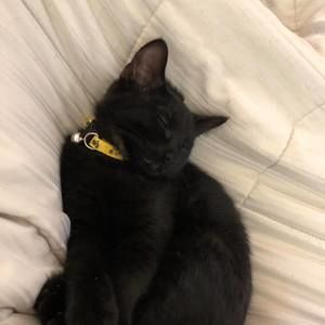 Meet your Posher, Ana